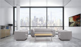 1+1+3 Leisure Sectional Sofa Modern Leather Living Room Sofa (WS-986)