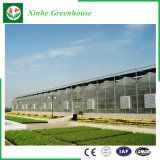 Green House with Double/Single Glazing and Aluminium Alloy Structure