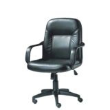 BIFMA Certificated Executive Leather Manager Chair (FECB1076)