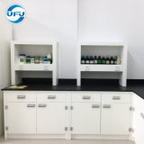 Chemical Resistant PP Material Lab Wall Table with Sink and Faucet