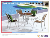 Outdoor Plastic Wood Aluminum/Alloy Dining Chair (TG-1755)