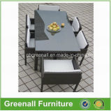 Garden Furniture Outdoor Furniture Rattan Table and Chair (GN-8658D)