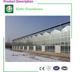 China Low Cost Glass Greenhouse with Hydroponic System