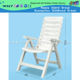 Plastic Foldable Beach Chair Leisure Chair for Sale (HD-19706)