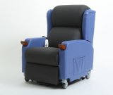 One Seat Electric Power Remote Control Lifting Massage Recliner Chair