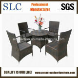Plastic Rattan Furniture/Furniture Set/Bamboo Furniture (SC-M0035)
