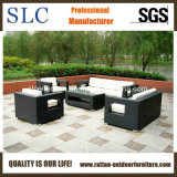 PE Rattan Sofa/Modern Wicker Sofa/Outdoor Wicker Sofa Set (SC-B8218)