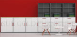 Professional OEM Supplier New Arrived Filing Cabinets (SZ-FC057)