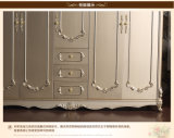 European Style of Home Wardrobe with High Quality (WD-1223)