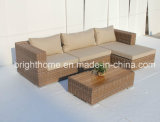 Outdoor Sofa Set/Wicker Furniture/Garden Outdoor Furniture (BP-M12)