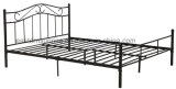 Metal Single Bed for Students/Military/Campus Using
