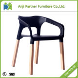 High Quality Classical Fancy Leisure Plastic Leisure Chair (Nalgae)
