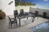 Garden/Outdoor Wicker Dining Set for Chair and Table (LN-585)