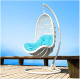 Modern Garden Lounge New Leisure Wicker Home Hotel Office Hanging Chair (J807)