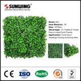China Supplier Beautiful Succulent Artificial Plants for Wall Decor
