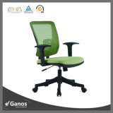Modern Best Staff Chairs for Lower Back Pain