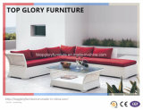 PE Rattan & Aluminum Furniture, Outdoor Rattan Sofa (TG-046)