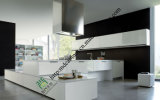 2015 New Model Lacquer Kitchen Cabinets Price (zs-436)