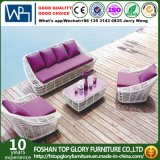 Outdoor Rattan Furniture Leisure Sofa (TG-003)