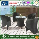 Outdoor Leisure Furniture Dining Chair Wicker Set (TG-508)