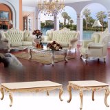 Living Room Furniture Sets with Classic Sofa Couch (518)