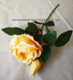 Hand Feeling Artificial Flower Rose  for Home and Wedding   Decoration