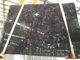 Ice Black Tulip Marble Slab for Building Material