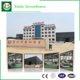 China Supplier Multi-Span Glass Greenhouse for Sale