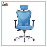 Ergonomic Comfortable Blue Color Office Chair