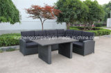 Five Pieces for The Cane Leisure Garden Patio Furniture Rattan Aluminum Sofa Set