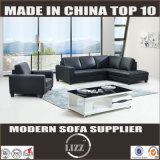 Contemporary Designed Furniture Leather Sofa