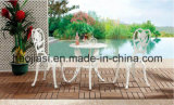 Outdoor /Rattan / Garden / Patio/ Hotel Furniture Cast Aluminum Chair & Table Set (HS 3180C &HS 6110DT)