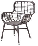 Modern Different Color Wicker/Rattan Chair for Outdoor (LN-1085)