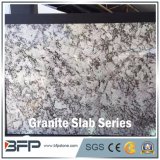 High End White & Grey Granite Slab for Countertop and Tile