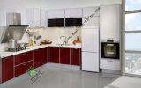 Customized Acrylic Kitchen Cabinets (zs-233)