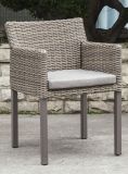 Modern Outdoor Rattan/Wicker Chair (LN-2000W)