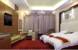Hotel Bedroom Furniture/Luxury Double Bedroom Furniture/Standard Hotel Double Bedroom Suite/Double Hospitality Guest Room Furniture (CHN-004)
