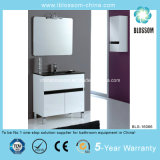 Wall Mounted and Floor Mounted Bathroom Cabinet (BLS-16066)