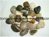 Polished Pebble Mosaic Tiles for Outside Flooring with Mixed Color