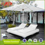 Outdoor Day Bed, Garden Sun Bed, Leisure Bed (DH-9564)