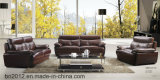 Living Room Genuine Leather Sofa (SBO-9115)