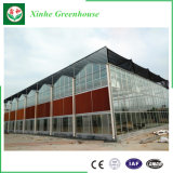 Modern Low Cost Industrial Agriculture Glass Commercial Greenhouse for Sale