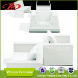 White Rattan Outdoor Furniture, Modern Furniture (DH-9623)