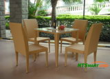 Dining Table and Chair (H019)