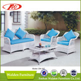 Outdoor Rattan Furniture, White Rattan Outdoor Furniture (DH-167)