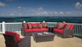 Resort Leisure Rattan Sofa Sets Wf050033