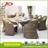 Outdoor Dining Table Set with 8 Chairs (DH-7859)
