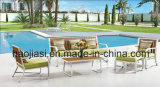 Outdoor /Rattan / Garden / Patio/ Hotel Furniture Outdoor Sofa HS3020