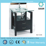 Professional Glass Vanity Factory (BLS-2156)
