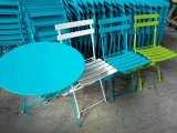 Garden Furniture Outdoor Folded Chair (WF-060315)